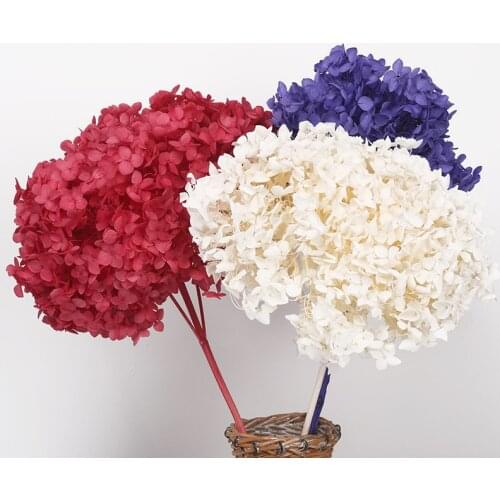 Plantas Naturales Fresh Grade A Preserved Hydrangea Branch Eternal Life Flower Head For DIY Gift Wedding Party Decoration Kerst
