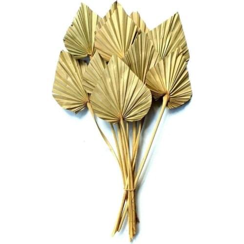 Natural Palm Spear Fan Dried Palm Leaves With Stem Natural Cattail Leaf Ornament Wedding Hotel Home Wall Decor Photo Props