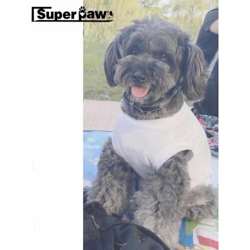 Pet Dog Summer Cooling Vest Clothes For Small Medium Dogs French Bulldog Schnauzer Chihuahua Pug Hoodie Coat LXC24