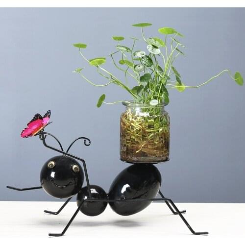 Creative Home Hydroponic Plant Flowerpot Aquaculture Transparent Glass Vases Tabletop Plant Planter Bonsai Decor Flower Vase