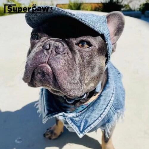 New Style Dog Jacket Coat With Hat Clothes Pet Hoodie Coat For Small Medium Dogs French Bulldog Pug Chihuahua YKC28