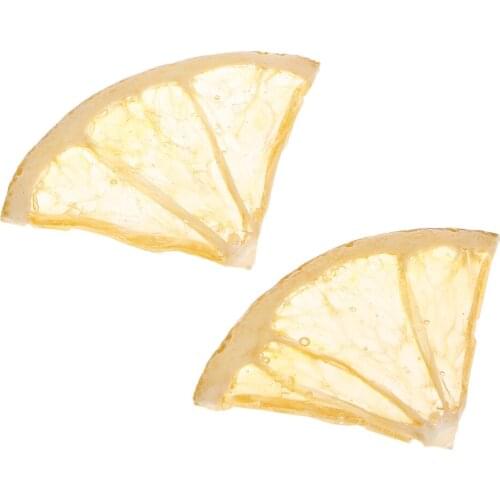2Pcs Natural Real Orange Slices Specimen W/ Holes Jewelry Findings Charms