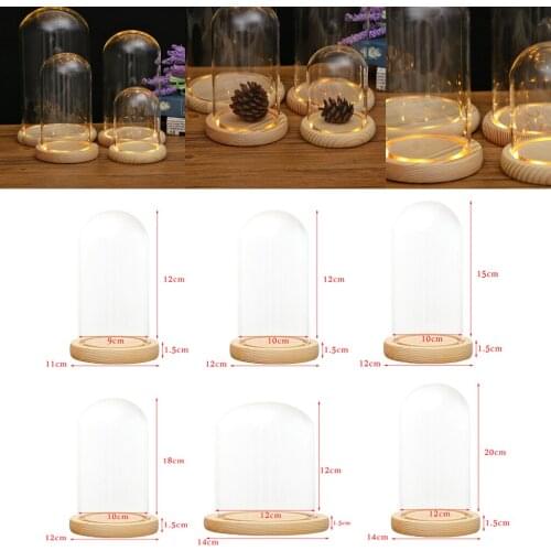 MagiDeal Clear Glass Display Dome with LED Wood Base Microlandscape Holder