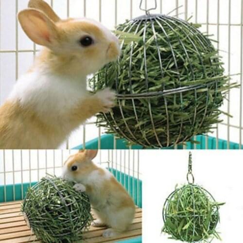 Rabbit Grass Ball Stainless Steel Feeding Forage Basket Can Hang Steel Wire Ball Totoro Guinea Pig Dwarf Rabbit small Animal