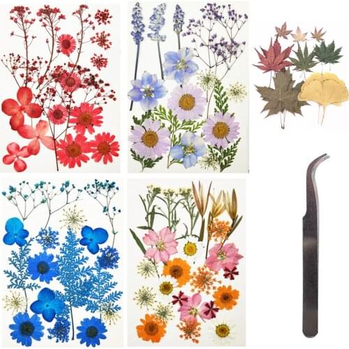 Behogar 96PCS Natural Dried Pressed Flowers 1PCS Tweezers for DIY Phone Case Resin Jewelry Candle Soap Crafts Nail Stickers