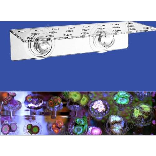 Decorations For Aquariums DUS China