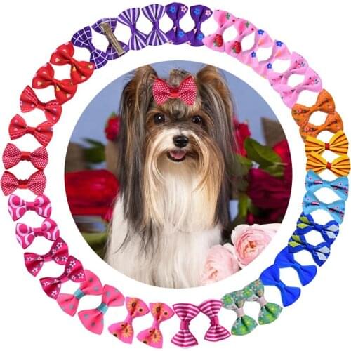 Hot Sale Wholesale Pet Accessories Hairpin Fashion Various Colors Pet Hair Clip for Dog Puppy Party Outfit