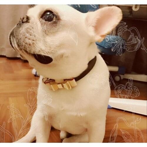 New French Bulldog Leather Collar Leash Set for Small Medium Large Dogs Puppy Outdoor Pet Dog Pug Leading Accessories ZLL10