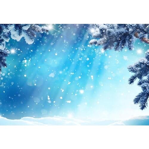 VinylBDS Snow Photo Backdrop Christmas With Trees Bokeh Light Backdrops Fotografia Washable And Seamless Baby Shower Backdrop