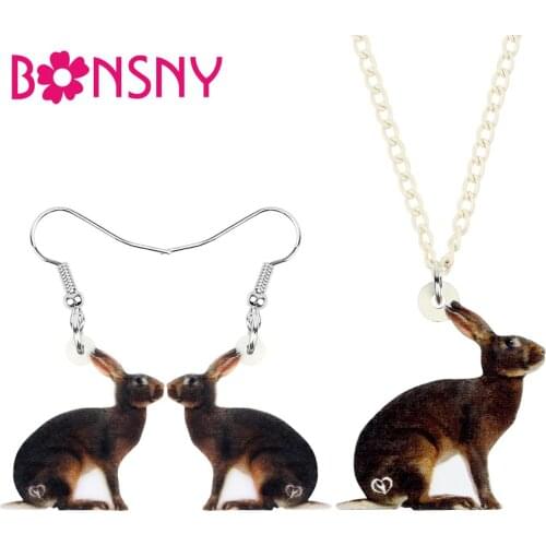Bonsny Acrylic Easter Brown Rabbit Jewelry Sets Sweet Animal Hare Bunny Earrings Necklace For Women Teens Gifts Accessory Charms