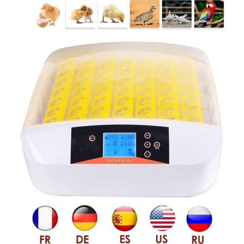 Fully Digital Automatic Egg Incubator 42-Eggs Incubator Poultry Hatcher Machine Breeder Auto Turning Hatching Chicken Duck Quail