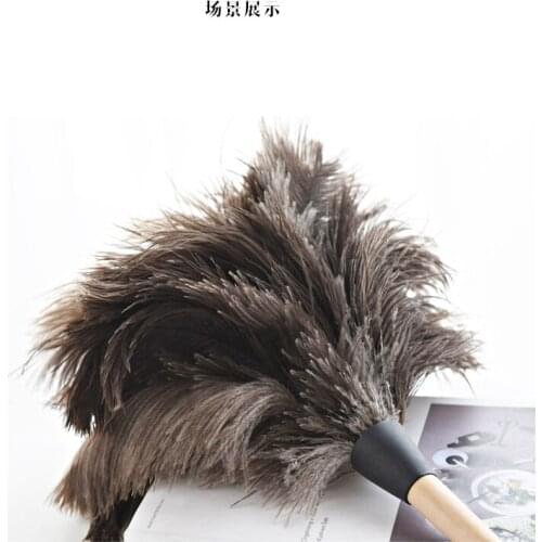 Anti-Static Ostrich Feather Fur Brush Duster Dust Cleaning Tool Wooden Handle