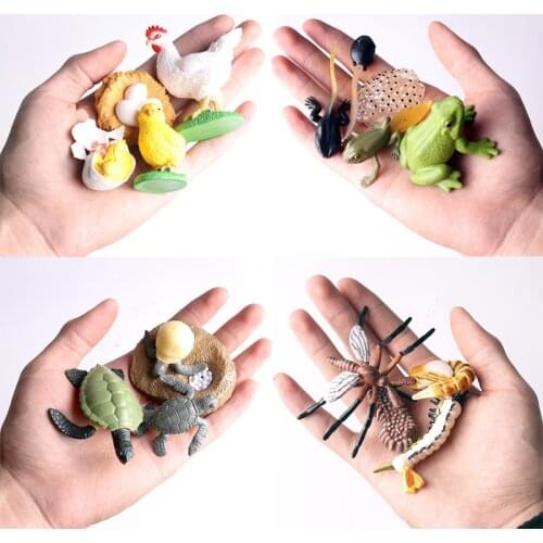 Simulation Terrestrial marine forest poultry Animal Model Toy Mini Animal Tiger Chicken Duck Cow Poultry PVC Figures Dolls toy
