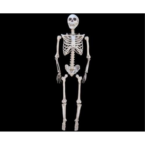 Wholesale horrible 165mm posable skull skeleton model Halloween haunted house bar decoration