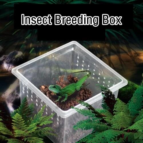100Pcs Feeding Box Reptile Cage Hatching Container Plastic Reptile Terrarium Insect Silkworm Rearing Box Wholesale