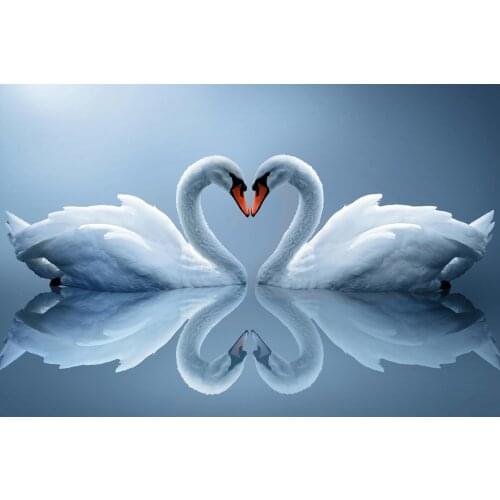 5D Full Diamond Painting Animal Shadow Embroidery Cross Stitch Mosaic Swan Couple Home Decoration Wall Decor Handmade Diy Gift