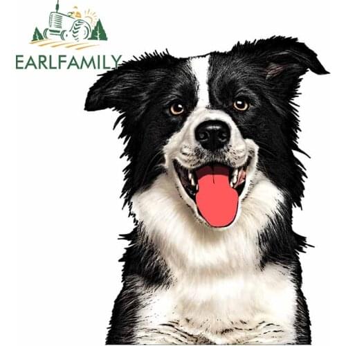EARLFAMILY 13cm x 10.3cm For Border Collie Decal Trunk Creative Car Stickers Sunscreen Car Assessoires for VAN RV SUV