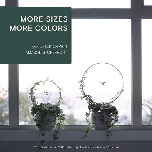 Plant Support Garden Climbing Stake Circle Round Shape Stand Frame Vine Rack For Mini Indoor Plants Flowers Vegetables