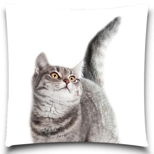 Cat LIVE LAUGH LOVE Throw Pillow Case Home Office Decal /Home Textile Gift Pillow Cover 5 size 9 style