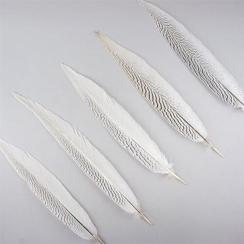 10-80CM 4-32inch Natural Silver Pheasant Tail Feathers White Pheasant Feathers For Crafts Wedding DIY Costume feathers Plumes