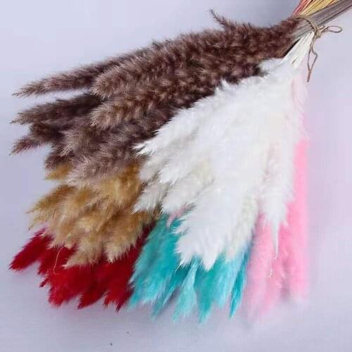 Pink Herbe De La Pampa Grass Dried Flower Decor Artificial Plants Fleur Sechee Naturelle Photo Props Mariage Home Decoration