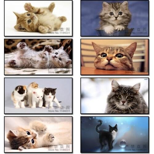 MYCELLA DIY Diamond Painting Lovely Cat Cross Stitch Diamond Embroidery Animal Full Diamonds Wall Stickers Home Decor Christmas