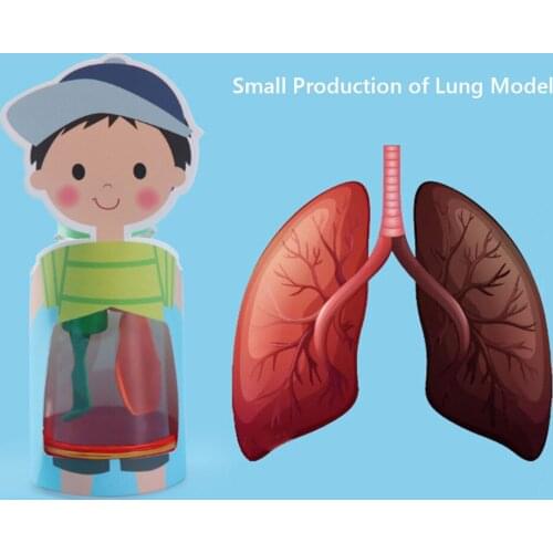 DIY Lung Breath Model Kit Science Experiment Kids Educational Toy Primary School Teaching Aids Scientific Production Toys
