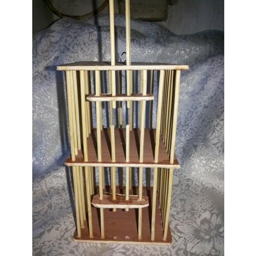 Reptilian worms double cloak Grasshopper Crawler Reptilian Worms Double Wooden Cloak Handmade Simple Butterfly Dragonfly Cage