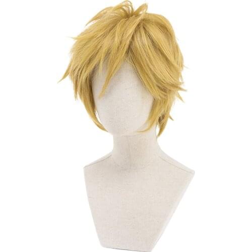 Synthetic Wig Link Cosplay Wig