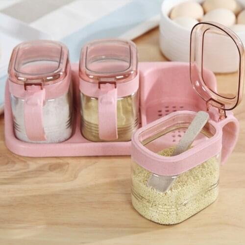 300ml 3pcs Set Nordic Seasoning Bottles Glass Condiment Storage Containers Condiment Pot Spice Jar with Spoon Brush Bottle
