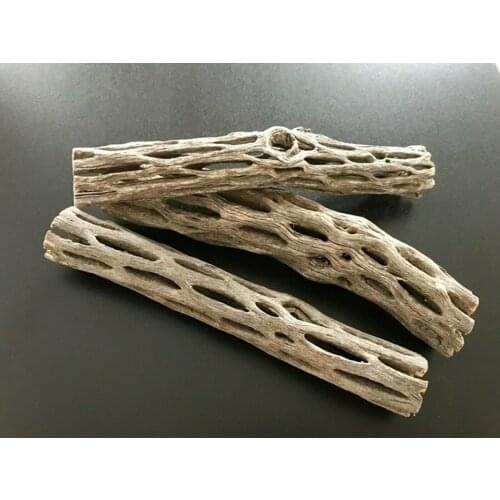 Organic Aquarium Cholla Cactus Wood Shrimp Nest House Fish Tank Landscaping