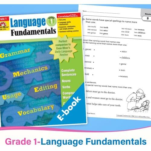 1st Grade Language Arts and Grammar Language Fundamentals Children Learning English language Painting Exercise books for kids