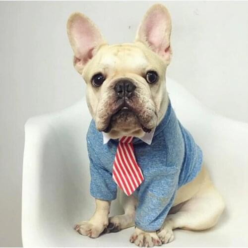 [MPK Cat Ties] Cute Pet Ties, Dog Collar Cat Collar, Pet Bow Ties, Dog Tie, Smart-Looking Pet Costume