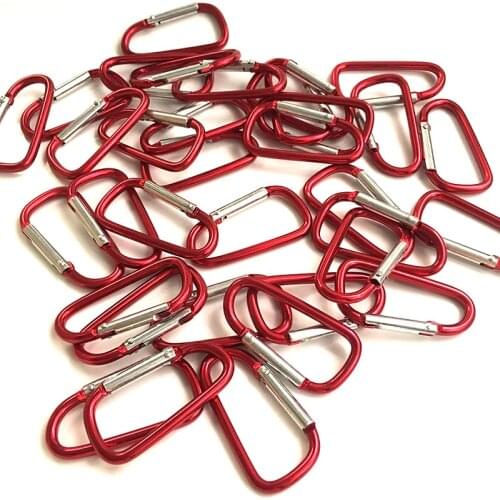 10pcs Aluminum Snap Hook Carbine D-Ring Key Chain Clip Keychain Hiking Camp D Shape Buckle for Men Women keys organized holder