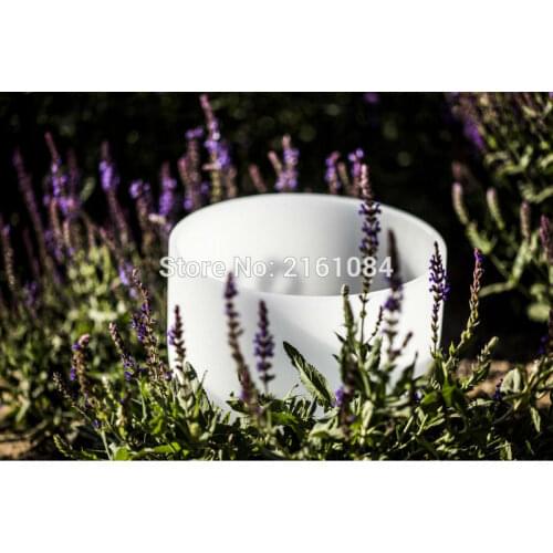 432 HZ 8" Note C/D/E/F/G/A/B Quartz Crystal Singing Bowls for Sound Therapy with one free suede and o ring