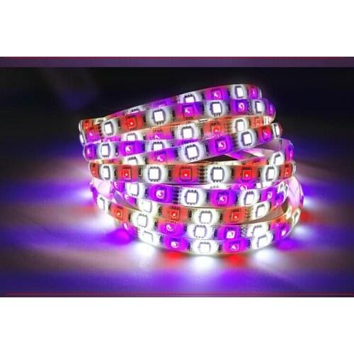 200m/lot SMD5050 RGBW/RGBWW led flexible strip waterproof/non led tape 60led/m DC12V RGB+White,RGB+Warm White indoor outdoor