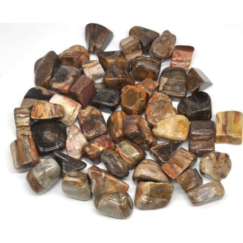 100g Natural Stromatolite Fossil Tumbled Stones Bulk Healing Crystals Reiki Polished Gemstones Gem Raw Aquarium Decoration