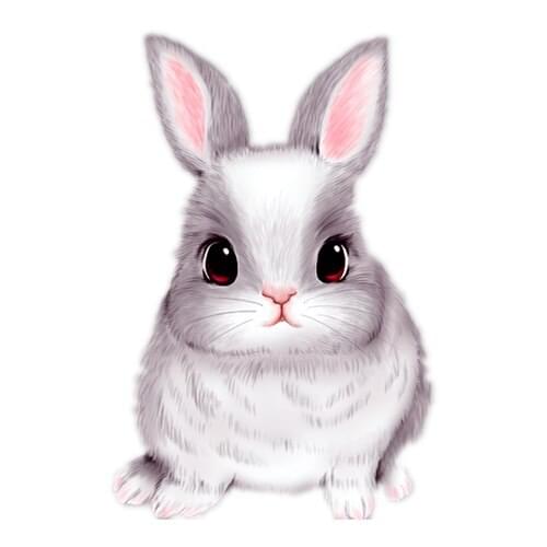 Animal Stickers Lovely Rabbit Car Sticker Art for Bedroom Poster Cartoon Car Hood Sticker Laptop Decal PVC,15cm*15cm