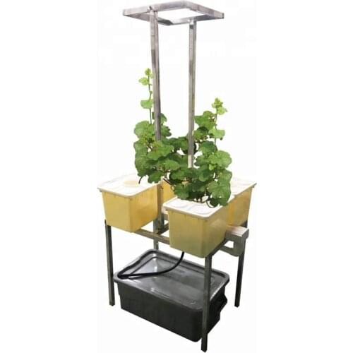 Complete Hydroponic DWC Growing Dutch Bato Buckets System for Tomato Cucumber (4 Buckets)