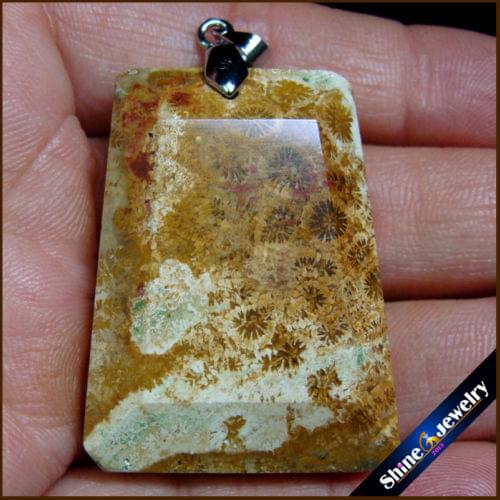 Natural 27x37mm Coral Fossil Gems Stones Rectangle Reiki Chakra DIY Earrings Necklaces Pendants Beads Jewelry Craft Making FS555