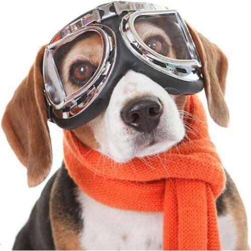 Famiwarm Clothes And Footwear For Dogs