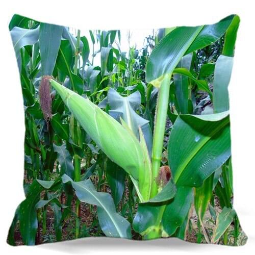 Corn field green yellow Soft Square Pillows case Cotton polyester Home car sofa Decorative Throw Cushion cover