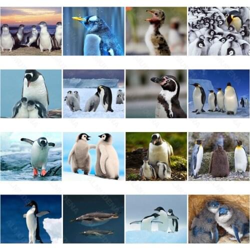 Diy Diamond Painting Animal Little Penguin 2021 New Full Diamond Flower Handmade Dot Inlaid Diamond Bedroom Living Room Sticker