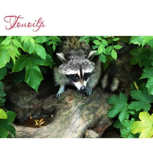 Full,Diamond Embroidery,5D,Diamond Painting Raccoon Cross Stitch spuare&round 3D,Diamond Mosaic patterns,Needlework,Christmas