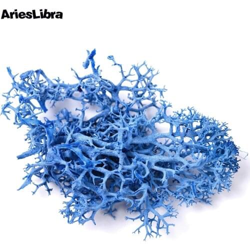 AriesLibra Water Plants Preserved Flowers 3D Dried Flower Natural DIY Manicure Nails Accessories Nail Art Decal Decorations Tool