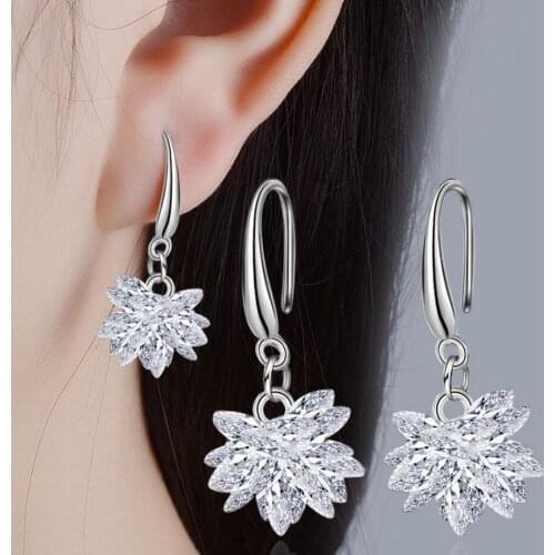 100% 925 Sterling Silver Earrings Female Crystal Vintage Snow Glob Drop Earrings for Women Twins Micro Set Hot Fine Jewelry