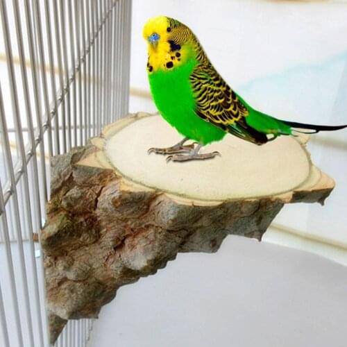 Pet Platform Right Angle Wood Perch Parrot Hamster Squirrel Bird Cage Playing Stand Jumping Board