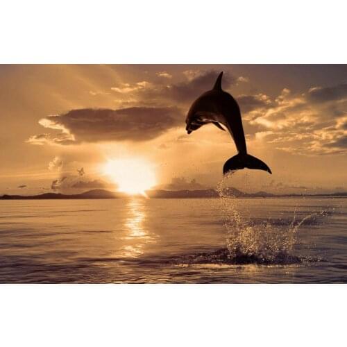 Dolphin Jumping in the Ocean at Sunset Art print Silk poster Home Wall Decor