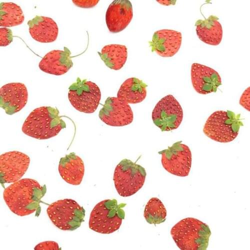 5pcs Dried Pressed Mini Fruit Strawberry Skin Slices Plant Herbarium For Jewelry Photo Frame Phone Case Bookmark Making DIY