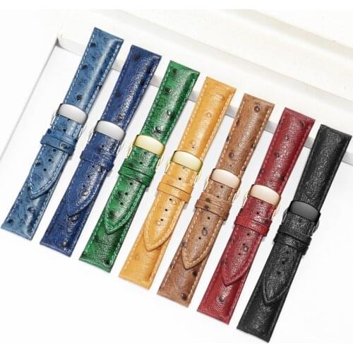 Ostrich Pattern Leather Watchband 12 13 14 15 16 17 18 19 20 21 22 23 24mm Black Blue Red Bracelet For Men And Women Watch Chain